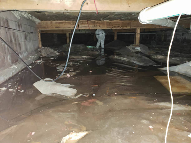 Best Commercial Water Damage Restoration in Oak Hill, TN